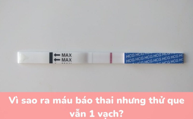 Xuất hiện máu báo thai: Thử que ngay, đừng bỏ lỡ dấu hiệu quan trọng!